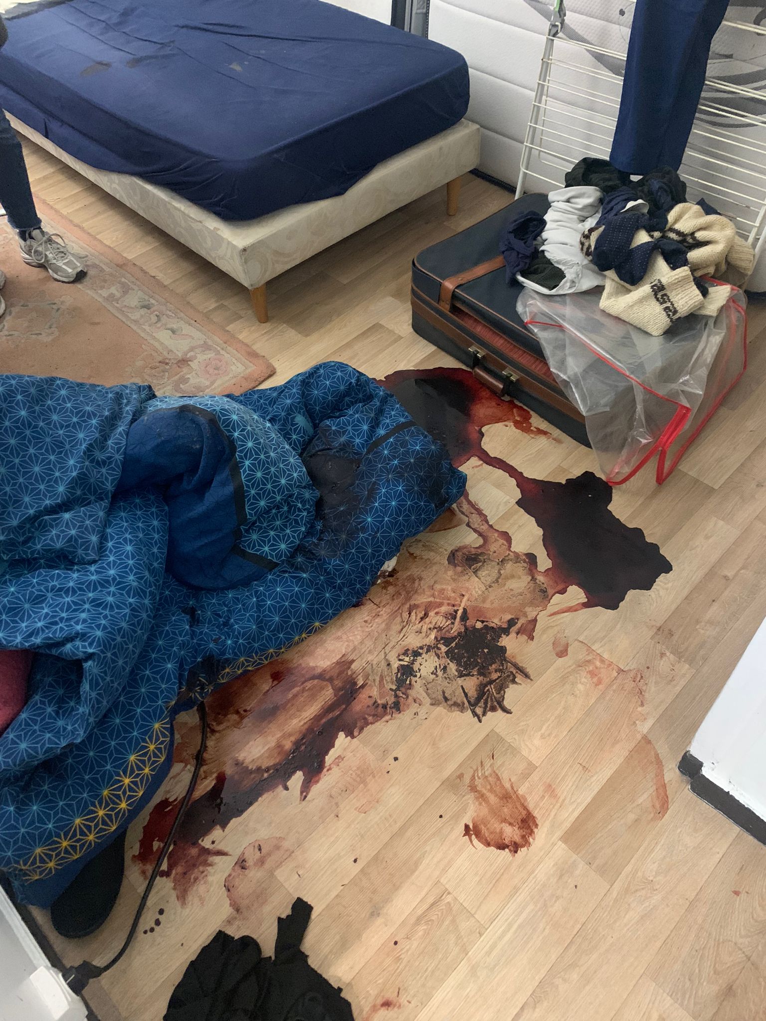 SOS DC : quels retours d’expérience transformer en études de cas sur le blog d’un acteur local à Vitry-sur-Seine et ses environs WhatsApp Image 2024 11 11 A 13.15.01 961f2b7c