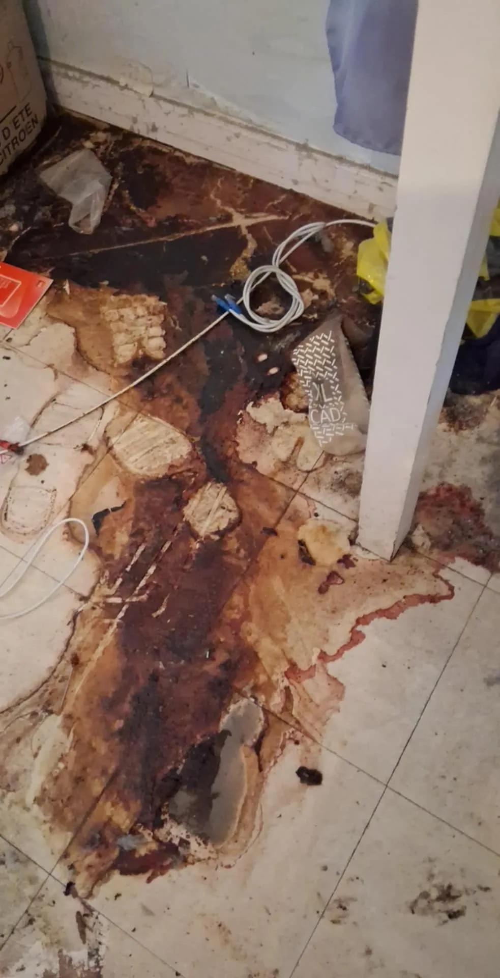 Comment limiter la propagation des poussières et spores vers les pièces propres : l’expertise de SOS DC à Vitry-sur-Seine Comment limiter la propagation des poussières et spores vers les pièces propres : l’expertise de SOS DC à Vitry-sur-Seine