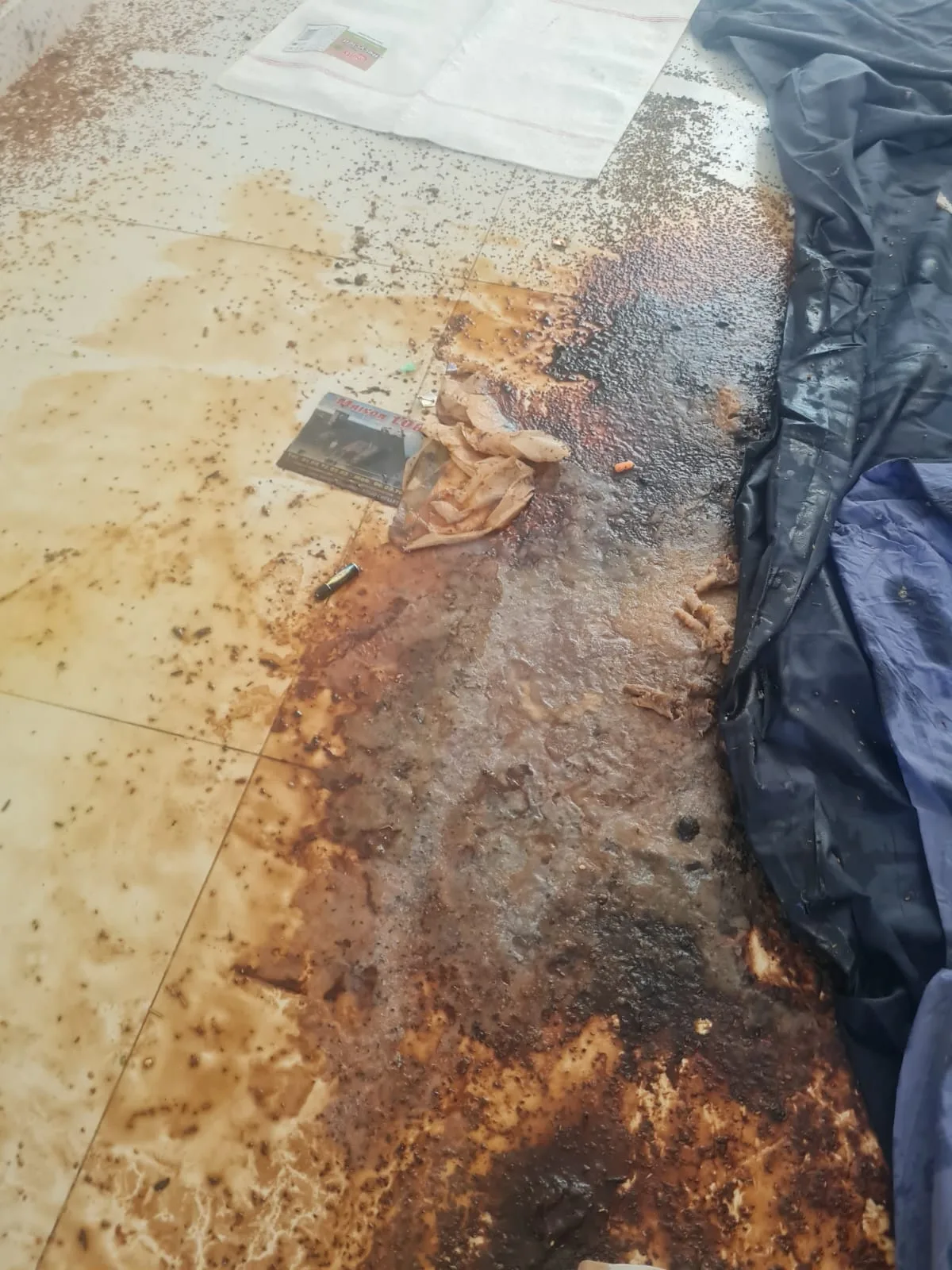 Que faire si l’odeur ne persiste que dans les placards ou le dressing ? L’expertise de SOS DC à Vitry-sur-Seine et dans les villes environnantes Que faire si l’odeur ne persiste que dans les placards ou le dressing ? L’expertise de SOS DC à Vitry-sur-Seine et dans les villes environnantes